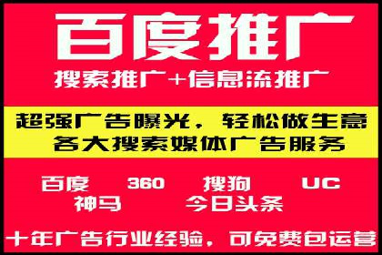 揭秘成功之道：竞价推广公司经典案例分享